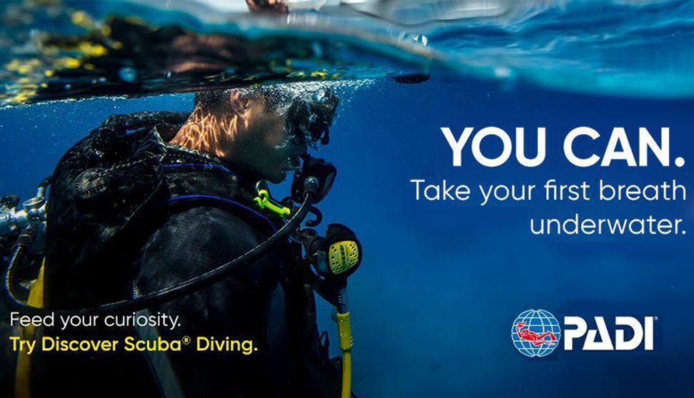 Give Scuba Diving A Go Session