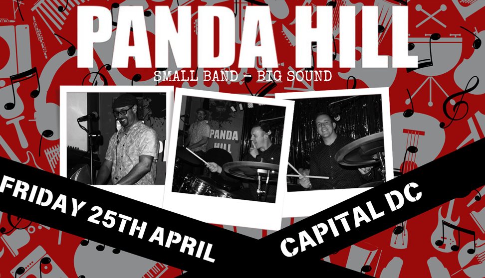 PANDA HILL - Live