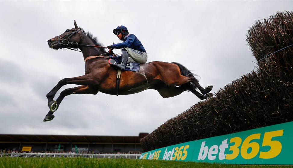 Afternoon Jump Racing. Newton Abbot Racecourse