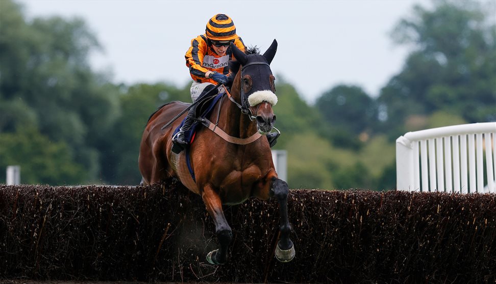 Horse Racing - Party In The Paddock