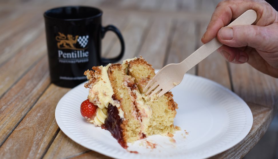 Coffee Morning at Pentillie Castle in aid of the Mustard Tree Charity