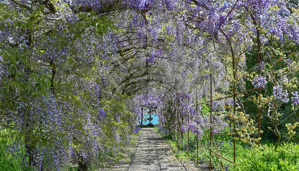 Garden Open Day