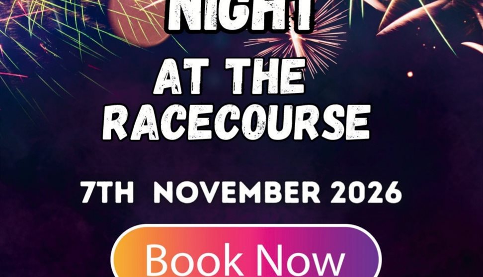 Newton Abbot Fireworks Night
