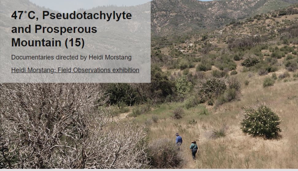 47˚C, Pseudotachylyte and Prosperous Mountain (15)