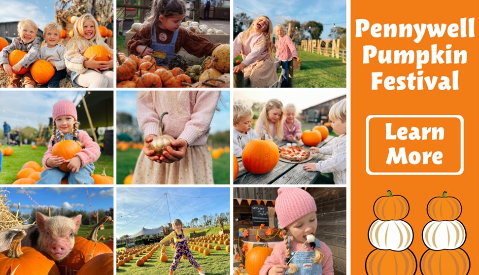 Pumpkin Festival at Pennywell Farm!