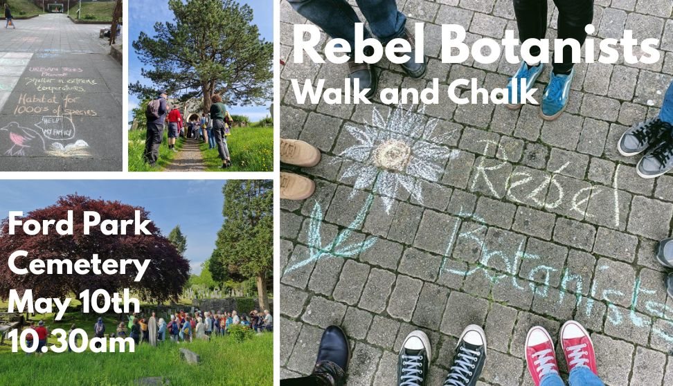 Chalk & Walk with the Rebel Botanists