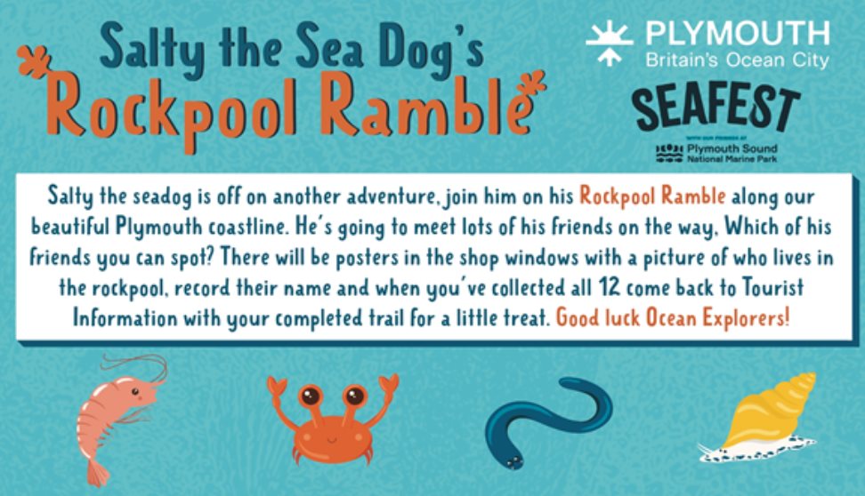 Rockpool Ramble Trail at Seafest