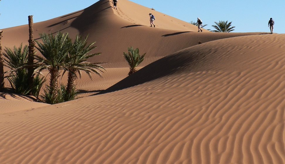 Sahara Trek Information Evening