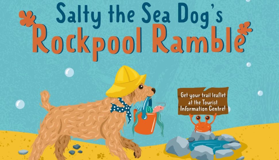 Salty the Seadog's Rockpool Ramble Trail at Seafest