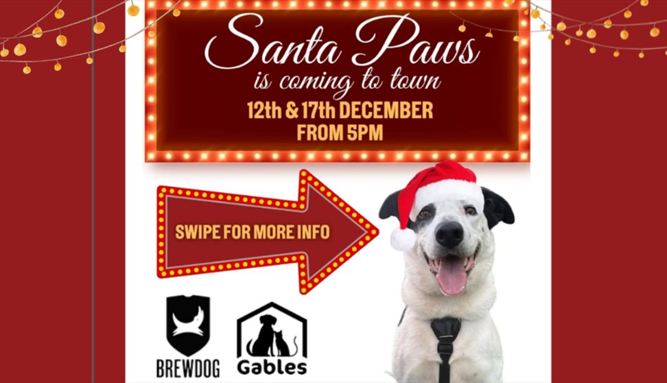 Santa Paws at Brewdog!