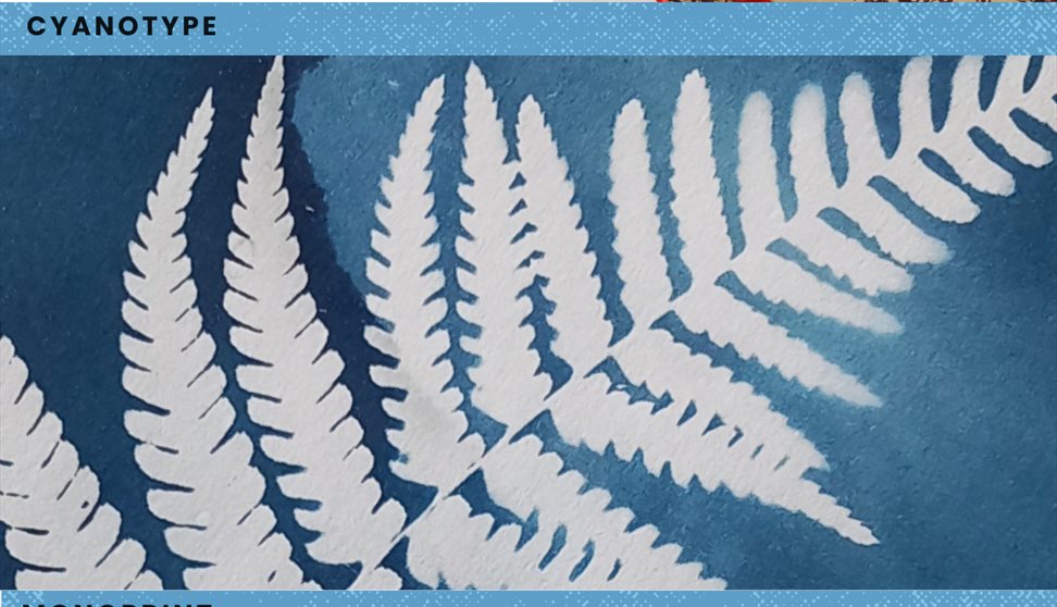 Botanicals Workshop Series- Workshop 1: Cyanotype (sunprinting)