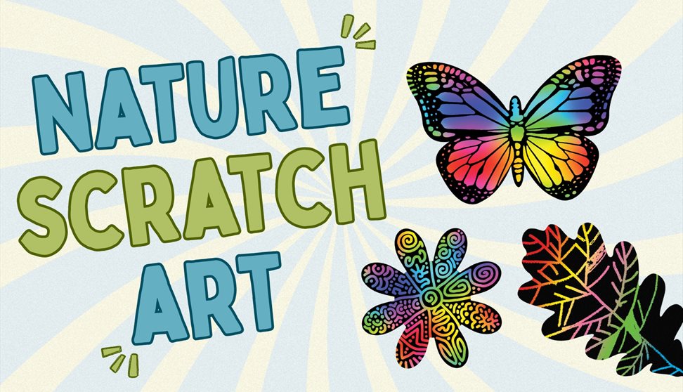 Nature Scratch Art Workshop