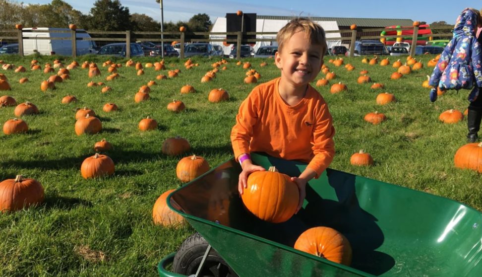 Pumpkin Fest 2019