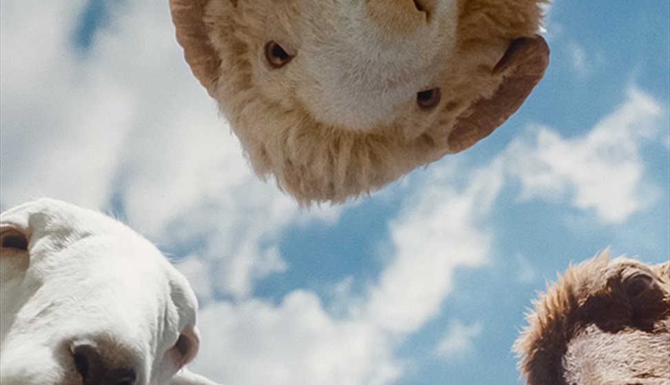 The Sheep Detectives (PG) [Family and Baby Friendly]