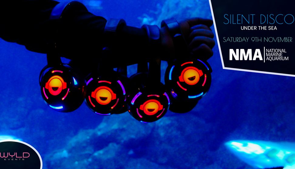 Silent Disco under the Sea