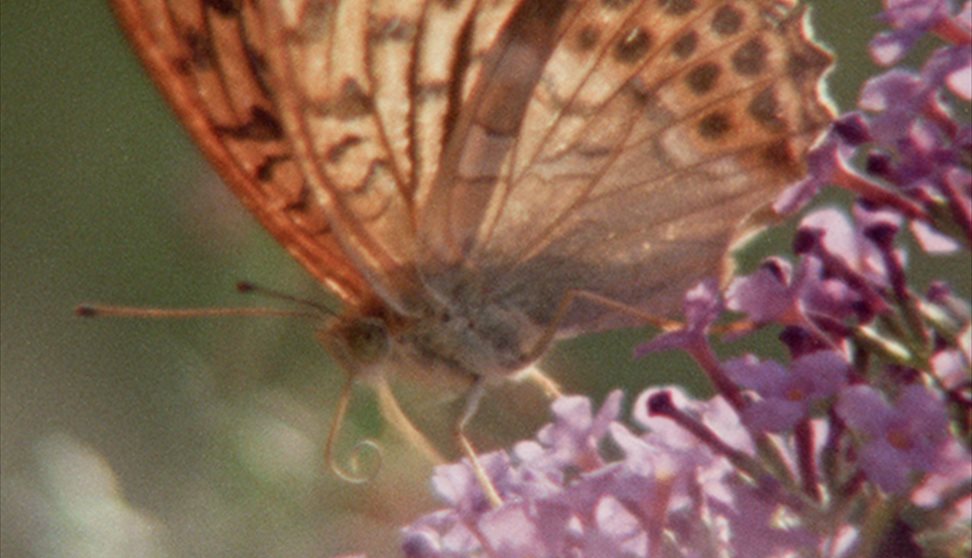 Super Nature (PG)