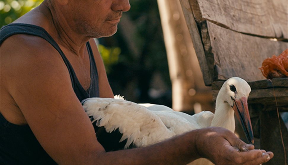 The Tale of Silyan (12A)