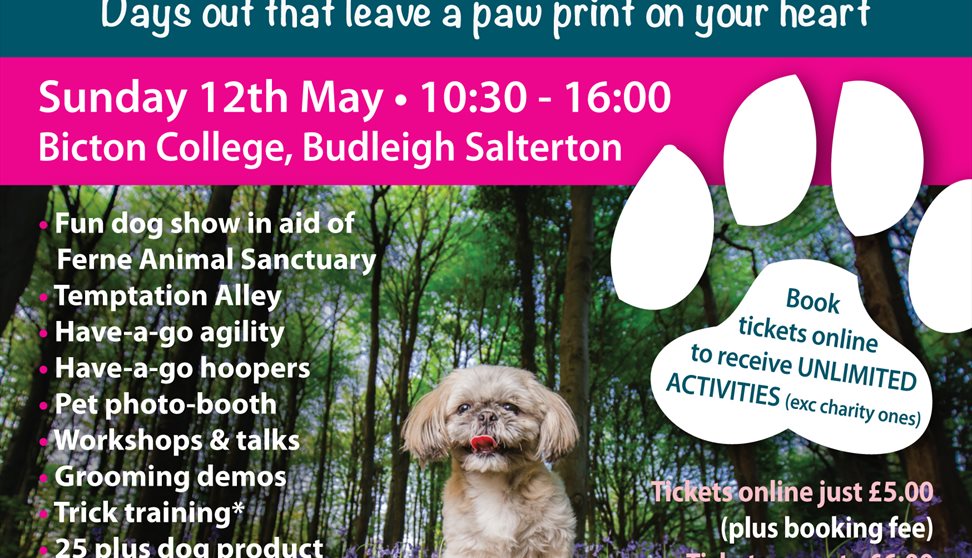 The Big Doggy Day Out Festival