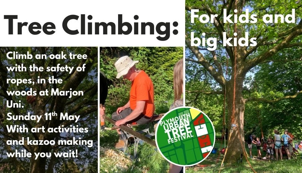 Tree Climbing for Kids and Big Kids