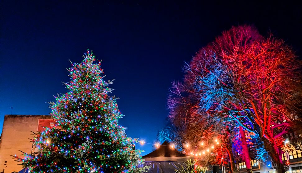 A night-time photo of the UPSU Christmas tree - lit up by colourful fairy lights - next to the SU sign.