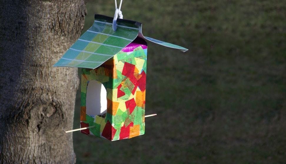 Wild About Plymouth: Wildlife Havens