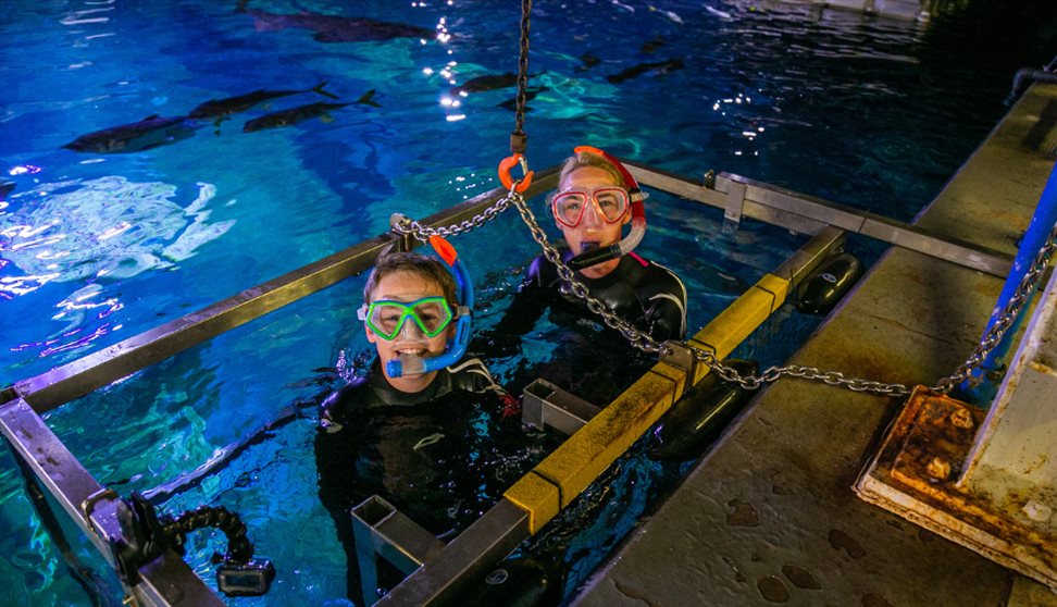 Snorkel at the Aquarium