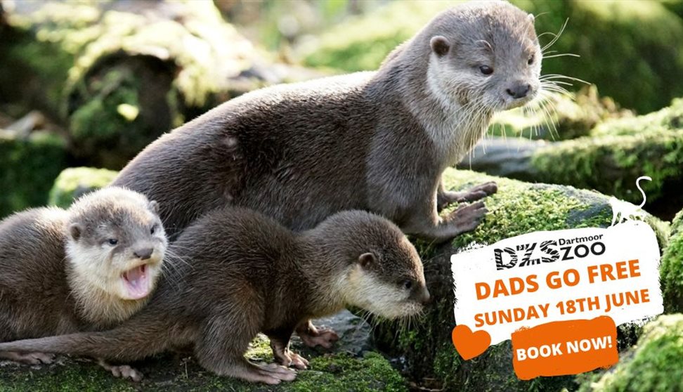 Dads FREE admission to Dartmoor Zoo!