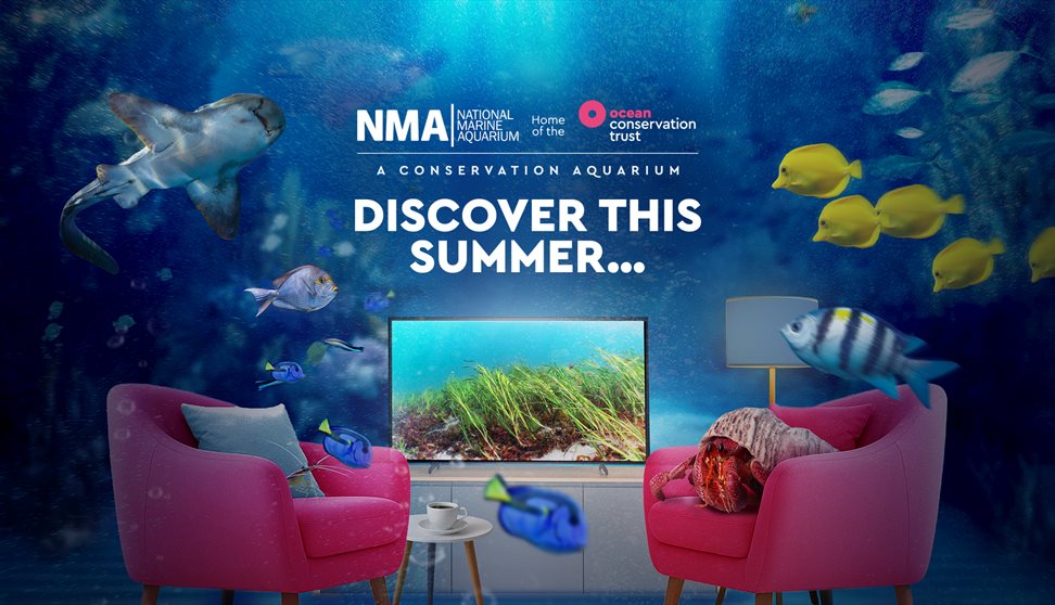 Promotional image for the National Marine Aquarium, featuring an imaginative underwater living room scene. Two bright pink armchairs and a coffee tabl