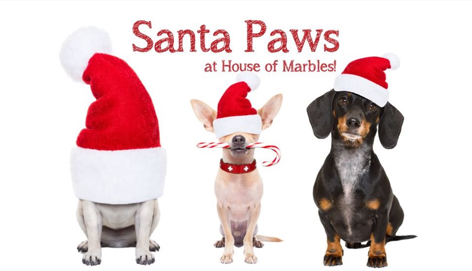 Santa Paws at House of Marbles