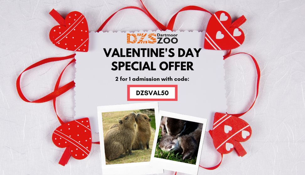 241 Valentine's Day at Dartmoor Zoo