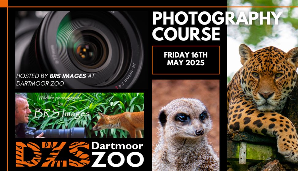Photography Course