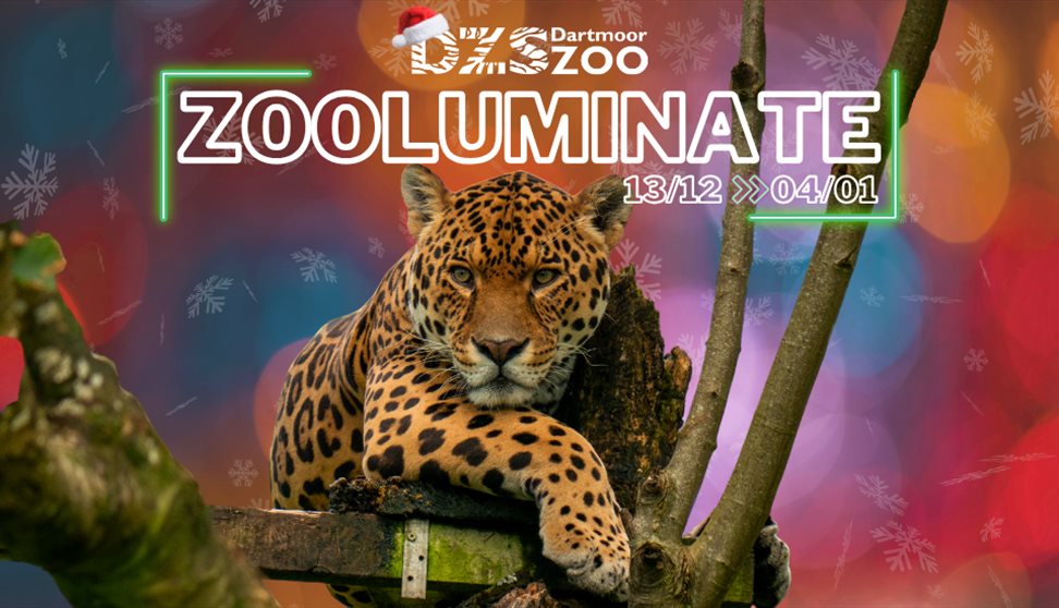 Zooluminate