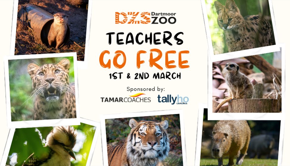 Teachers Go FREE