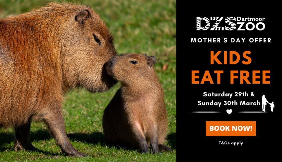 Mother's Day Kids Eat FREE at Dartmoor Zoo