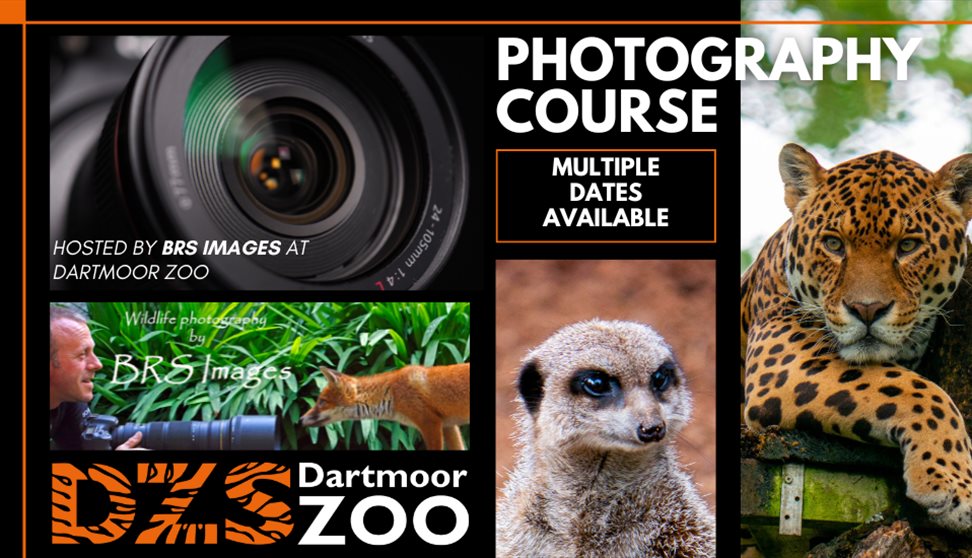 Photography Course