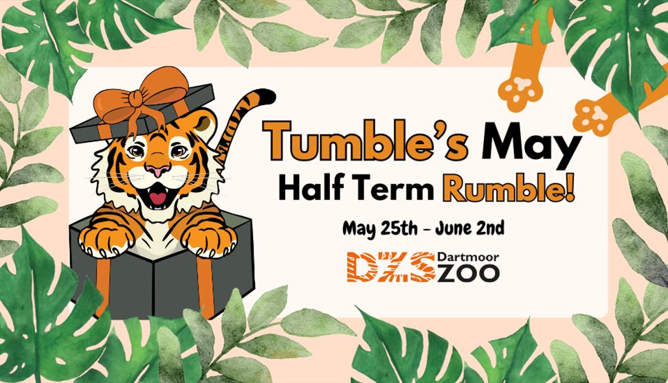 Tumble's May Half Term Rumble!