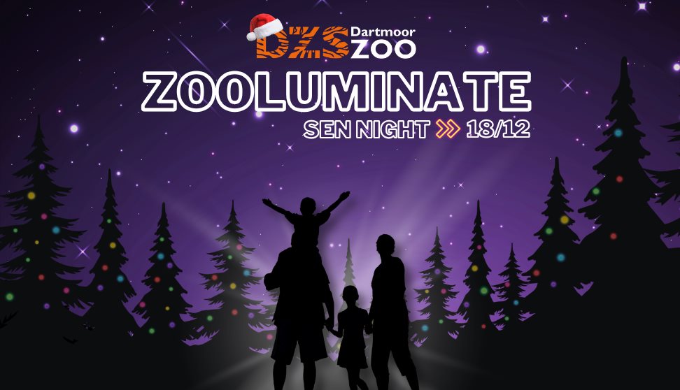 Zooluminate SEN Night