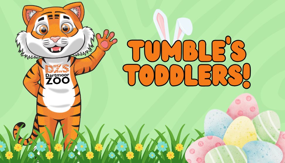 Tumble's Toddlers