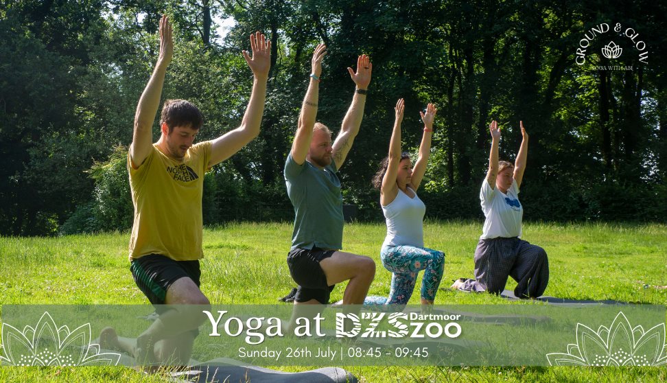 Yoga at Dartmoor Zoo