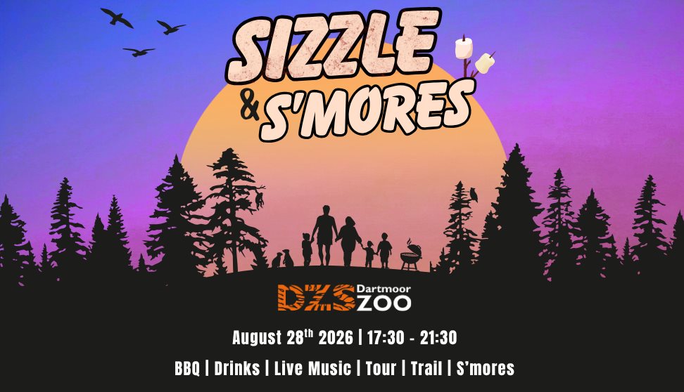 Sizzle & S'mores!