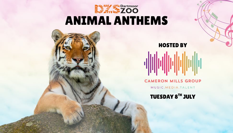 Animal Anthems