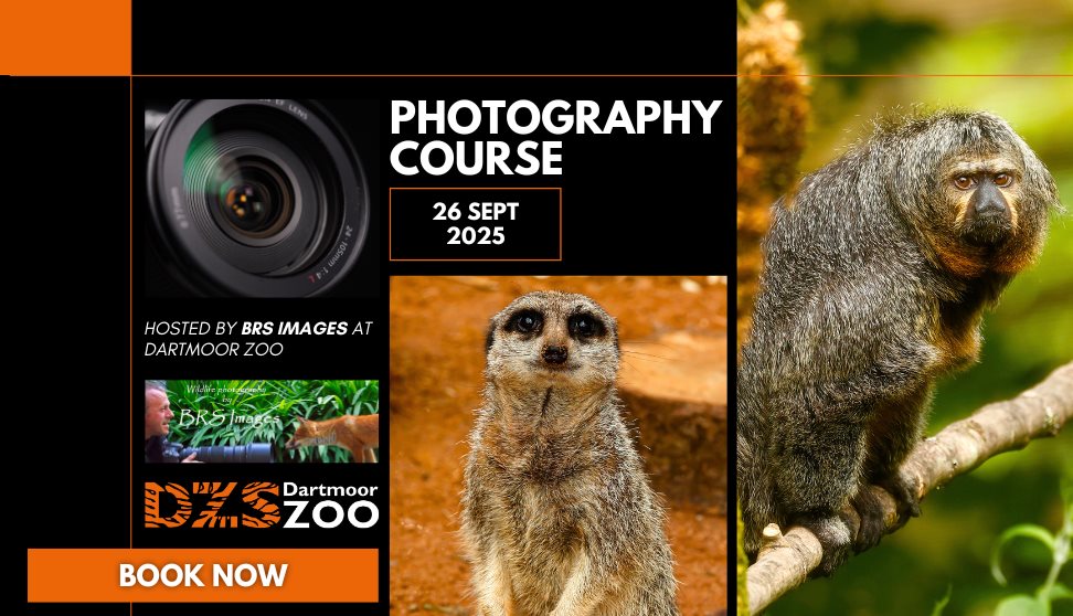 Photography Course with BRS Images