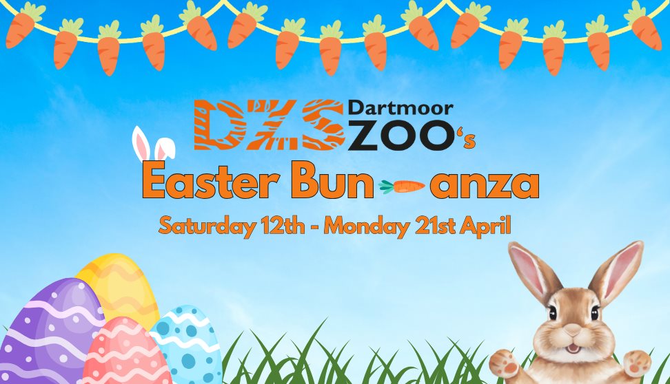 Easter Bun-anza at Dartmoor Zoo!