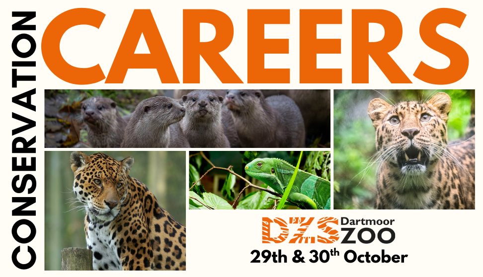 Conservation Careers