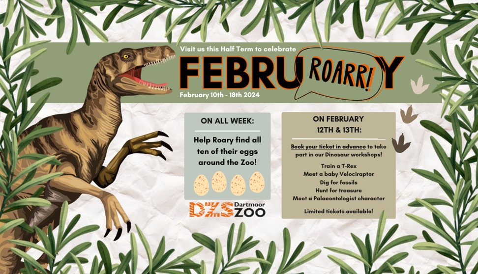 FebruROARY! Half term at Dartmoor Zoo!