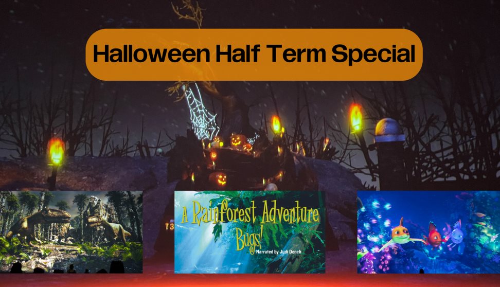 Halloween Half Term: Dinosaurs - A Story of Survival