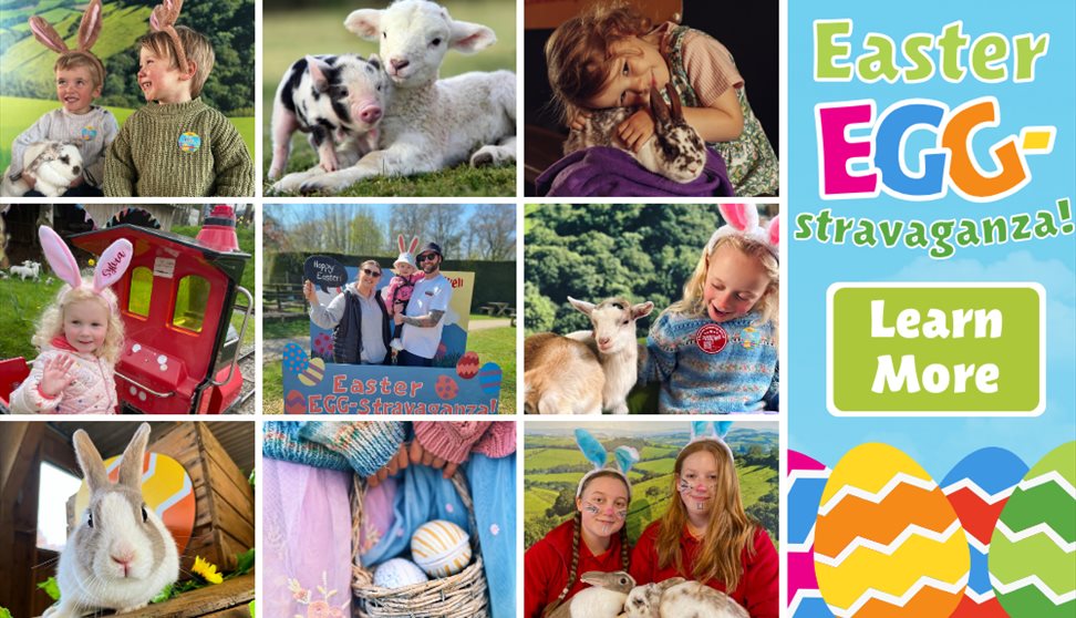 Easter at Pennywell Farm