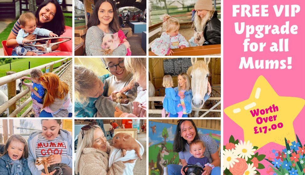 Mother's Day at Pennywell Farm