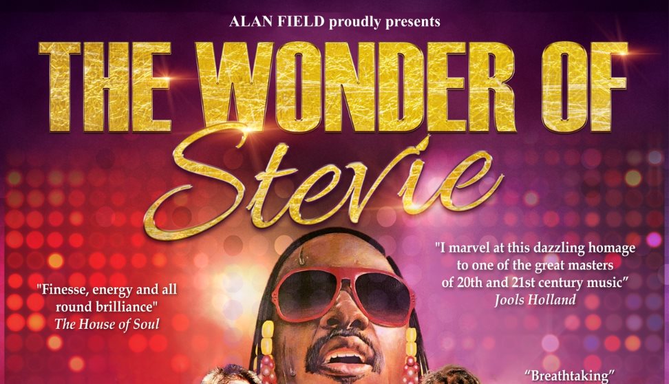 The Wonder of Stevie