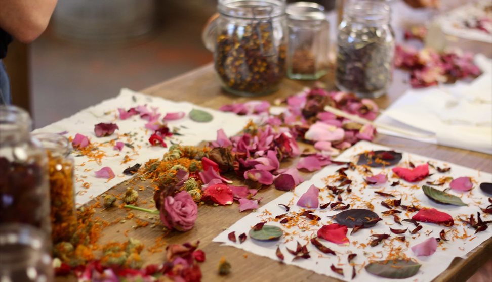 Natural Colour Workshop Taster